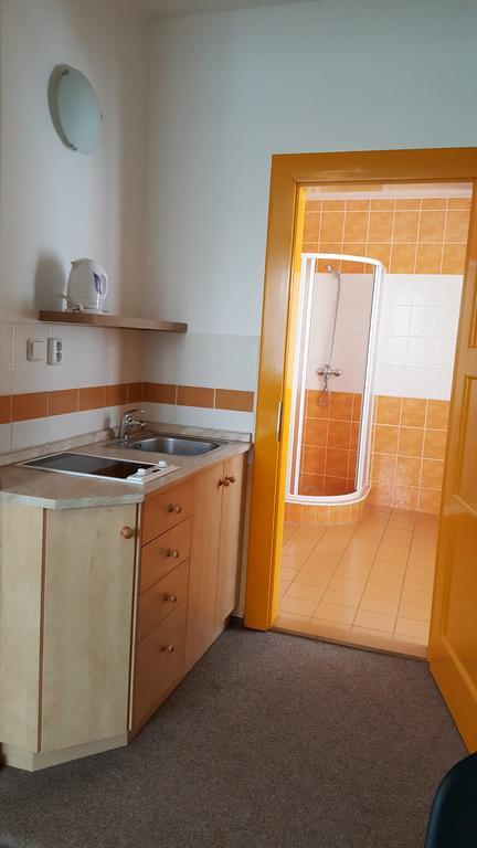 Villa Rozarka Stare Mesto  エクステリア 写真